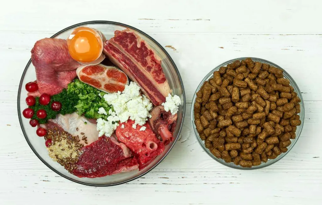 prato com comida orgânica e carnívora, ao lado um prato de ração