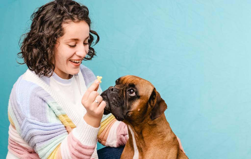 mulher dando petisco para cachorro boxer